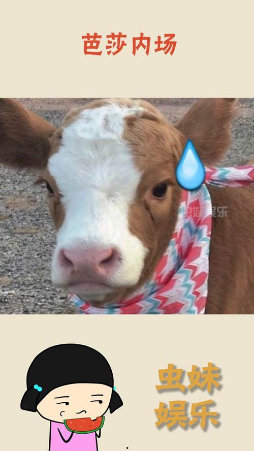 抖音娱乐吃瓜是真的吗,真相还是谣言？揭秘网络热传事件